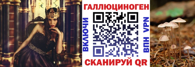 Галлюциногенные грибы Psilocybine cubensis  kraken как зайти  Камызяк 